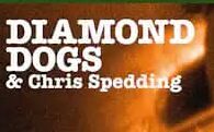 Album Review: Diamond Dogs & Chris Spedding “Macon Georgia Giant”